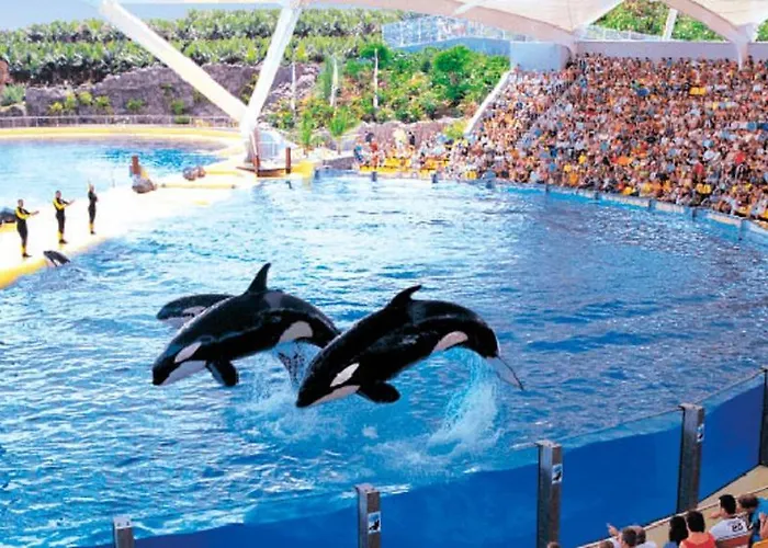 Apartment Bright And Quiet With Ocean View